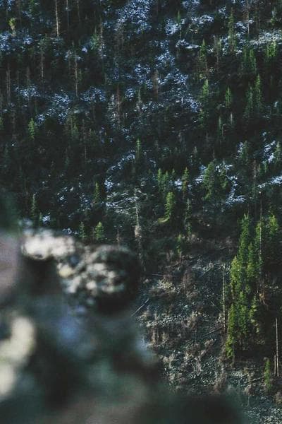reef
